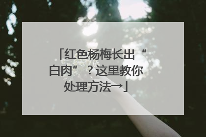 红色杨梅长出“白肉”？这里教你处理方法→