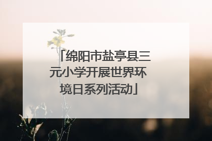绵阳市盐亭县三元小学开展世界环境日系列活动