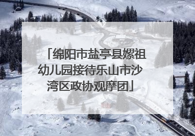绵阳市盐亭县嫘祖幼儿园接待乐山市沙湾区政协观摩团
