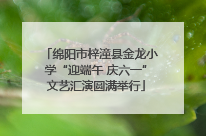 绵阳市梓潼县金龙小学“迎端午 庆六一”文艺汇演圆满举行