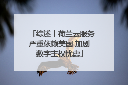 综述丨荷兰云服务严重依赖美国 加剧数字主权忧虑