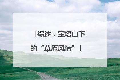 综述：宝塔山下的“草原风情”