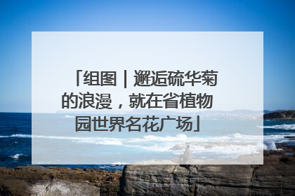 组图｜邂逅硫华菊的浪漫，就在省植物园世界名花广场