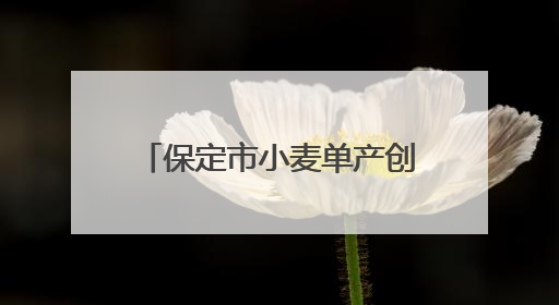 保定市小麦单产创河北省历史新高