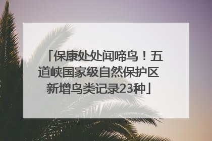 保康处处闻啼鸟！五道峡国家级自然保护区新增鸟类记录23种