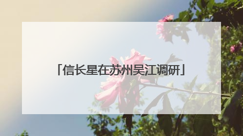 信长星在苏州吴江调研