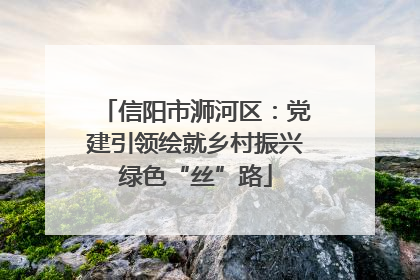 信阳市浉河区：党建引领绘就乡村振兴绿色“丝”路