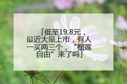 低至19.8元，最近大量上市，有人一买两三个，“榴莲自由”来了吗