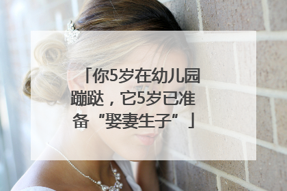 你5岁在幼儿园蹦跶，它5岁已准备“娶妻生子”