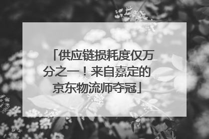 供应链损耗度仅万分之一！来自嘉定的京东物流师夺冠