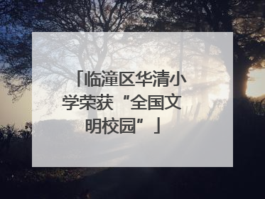 临潼区华清小学荣获“全国文明校园”