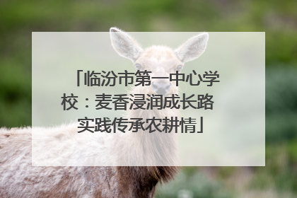 临汾市第一中心学校：麦香浸润成长路 实践传承农耕情