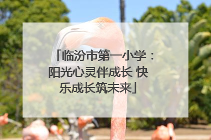 临汾市第一小学：阳光心灵伴成长 快乐成长筑未来
