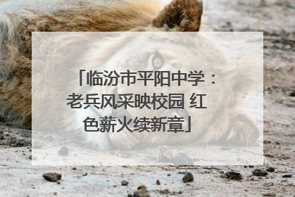 临汾市平阳中学：老兵风采映校园 红色薪火续新章
