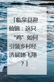 临泉县迎仙镇：这只“鸡”如何引领乡村经济展翅飞翔？
