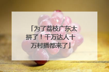 为了荔枝广东太拼了！千万达人十万村播都来了