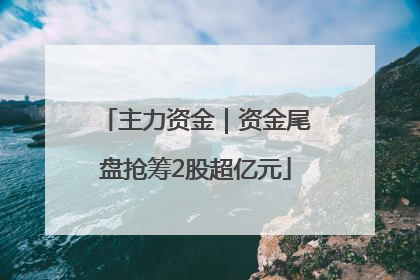 主力资金｜资金尾盘抢筹2股超亿元