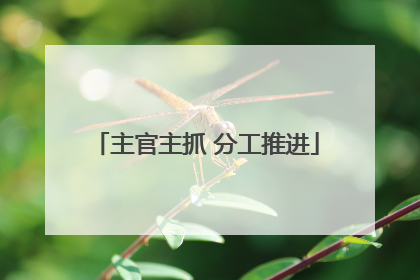 主官主抓 分工推进