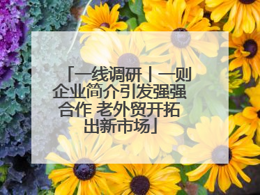 一线调研丨一则企业简介引发强强合作 老外贸开拓出新市场
