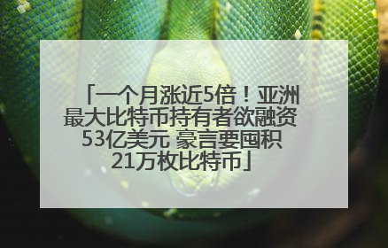 一个月涨近5倍！亚洲最大比特币持有者欲融资53亿美元 豪言要囤积21万枚比特币