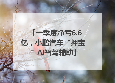 一季度净亏6.6亿，小鹏汽车“押宝”AI智驾辅助