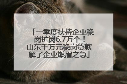一季度扶持企业稳岗扩岗6.7万个！山东千万元稳岗贷款解了企业燃眉之急