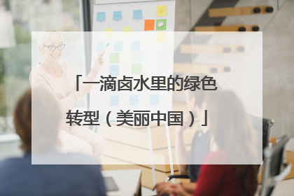 一滴卤水里的绿色转型（美丽中国）
