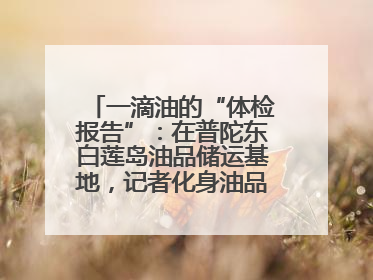 一滴油的“体检报告”：在普陀东白莲岛油品储运基地，记者化身油品化验员