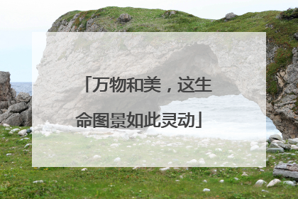 万物和美，这生命图景如此灵动
