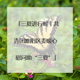 三夏进行时丨共青团睢阳区委暖心慰问助“三夏”
