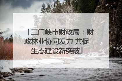 三门峡市财政局：财政林业协同发力 共促生态建设新突破