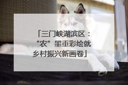 三门峡湖滨区：“农”墨重彩绘就乡村振兴新画卷