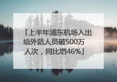上半年浦东机场入出境外籍人员破500万人次，同比增46%
