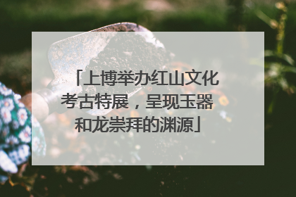上博举办红山文化考古特展，呈现玉器和龙崇拜的渊源