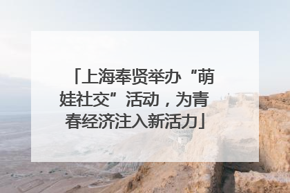 上海奉贤举办“萌娃社交”活动，为青春经济注入新活力
