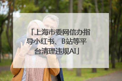 上海市委网信办指导小红书、B站等平台清理违规AI