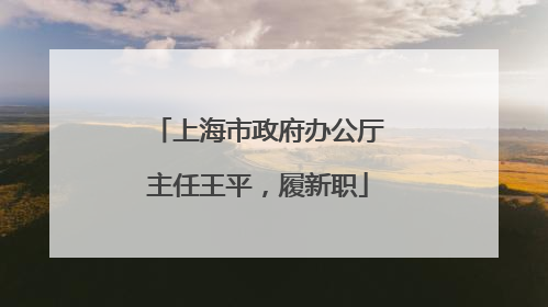 上海市政府办公厅主任王平，履新职