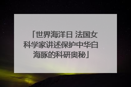 世界海洋日 法国女科学家讲述保护中华白海豚的科研奥秘