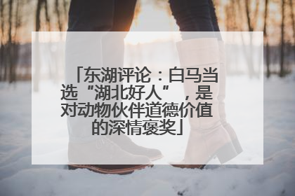 东湖评论：白马当选“湖北好人”，是对动物伙伴道德价值的深情褒奖