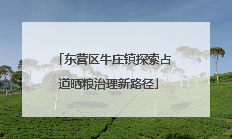 东营区牛庄镇探索占道晒粮治理新路径