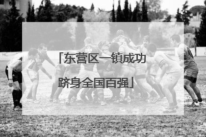 东营区一镇成功跻身全国百强