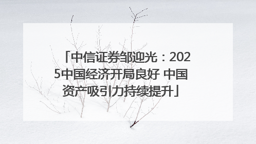 中信证券邹迎光：2025中国经济开局良好 中国资产吸引力持续提升