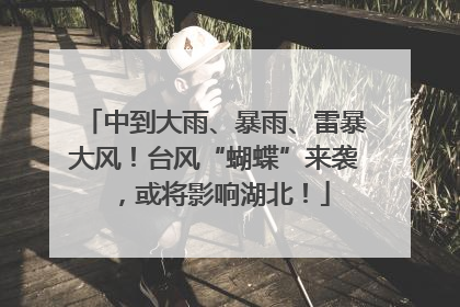 中到大雨、暴雨、雷暴大风！台风“蝴蝶”来袭，或将影响湖北！