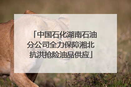 中国石化湖南石油分公司全力保障湘北抗洪抢险油品供应