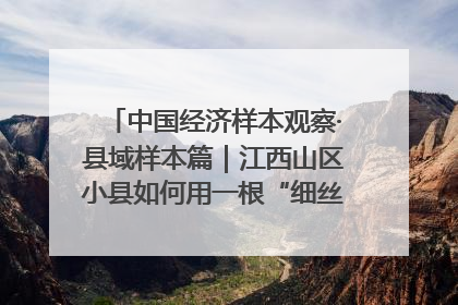 中国经济样本观察·县域样本篇｜江西山区小县如何用一根“细丝”拉出百亿级产业？