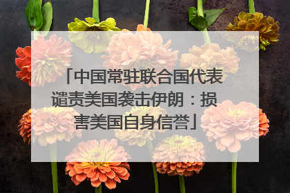中国常驻联合国代表谴责美国袭击伊朗：损害美国自身信誉