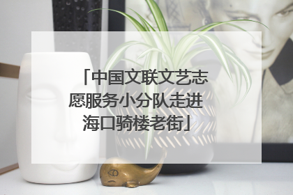 中国文联文艺志愿服务小分队走进海口骑楼老街