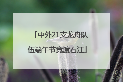 中外21支龙舟队伍端午节竞渡右江