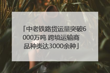 中老铁路货运量突破6000万吨 跨境运输商品种类达3000余种