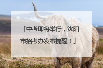 中考即将举行，沈阳市招考办发布提醒！